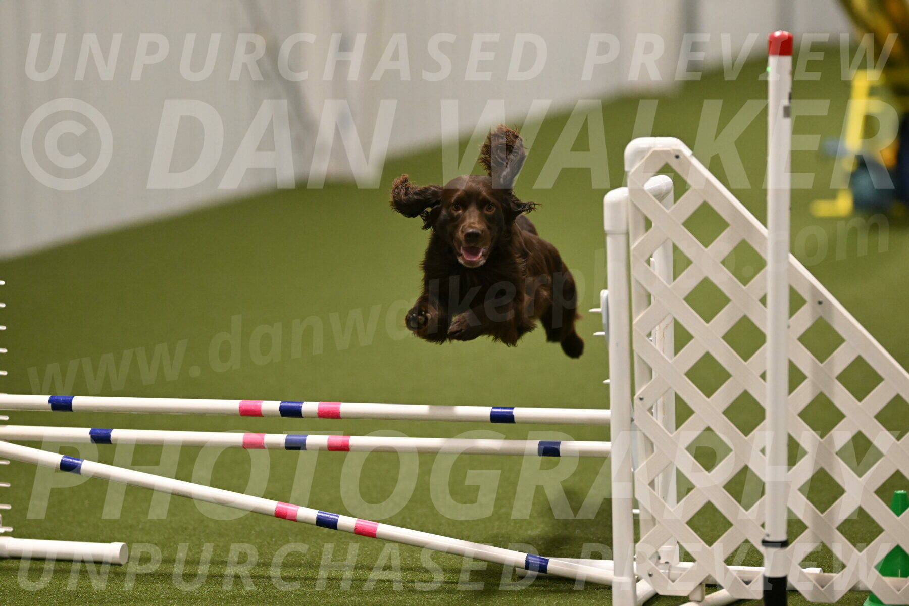 Gus-Jessica-Kotuba-09911