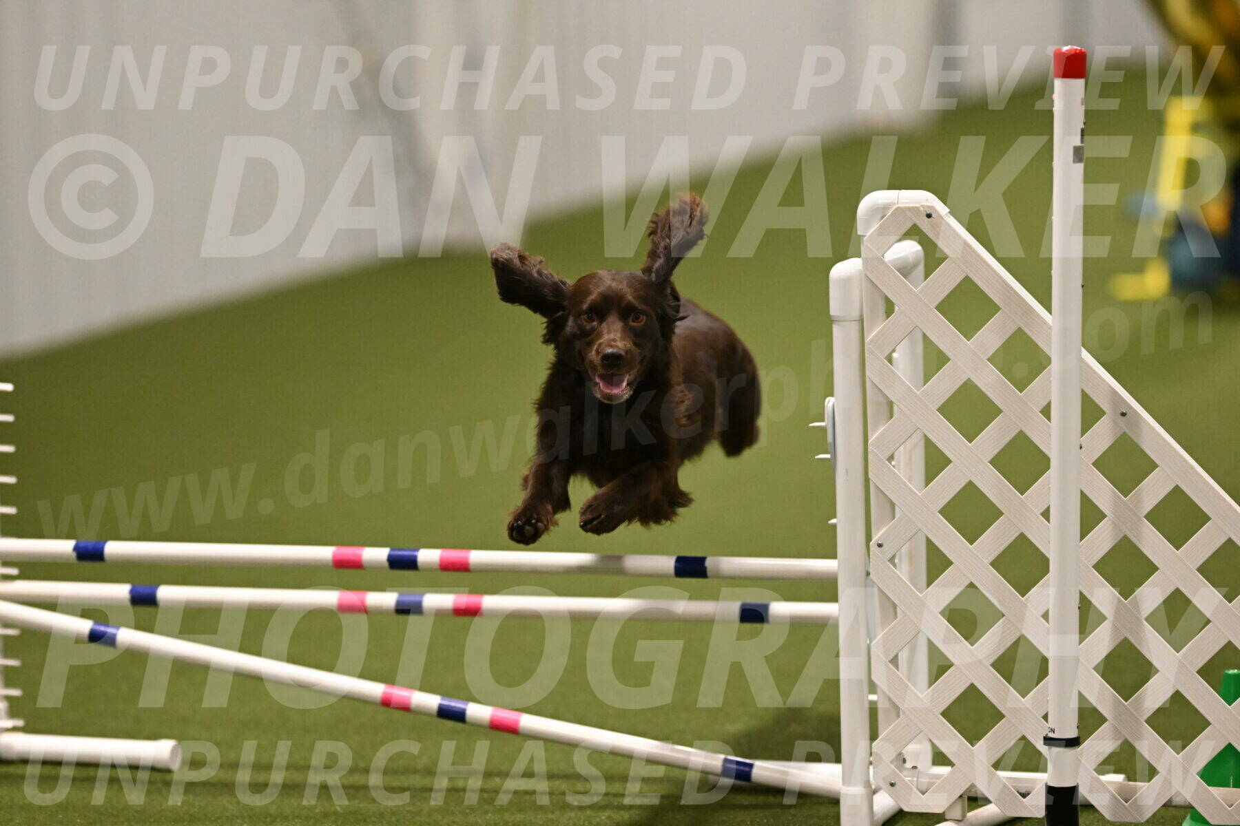 Gus-Jessica-Kotuba-09912