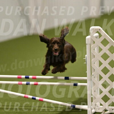 Gus-Jessica-Kotuba-09912