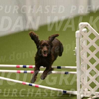 Gus-Jessica-Kotuba-09913