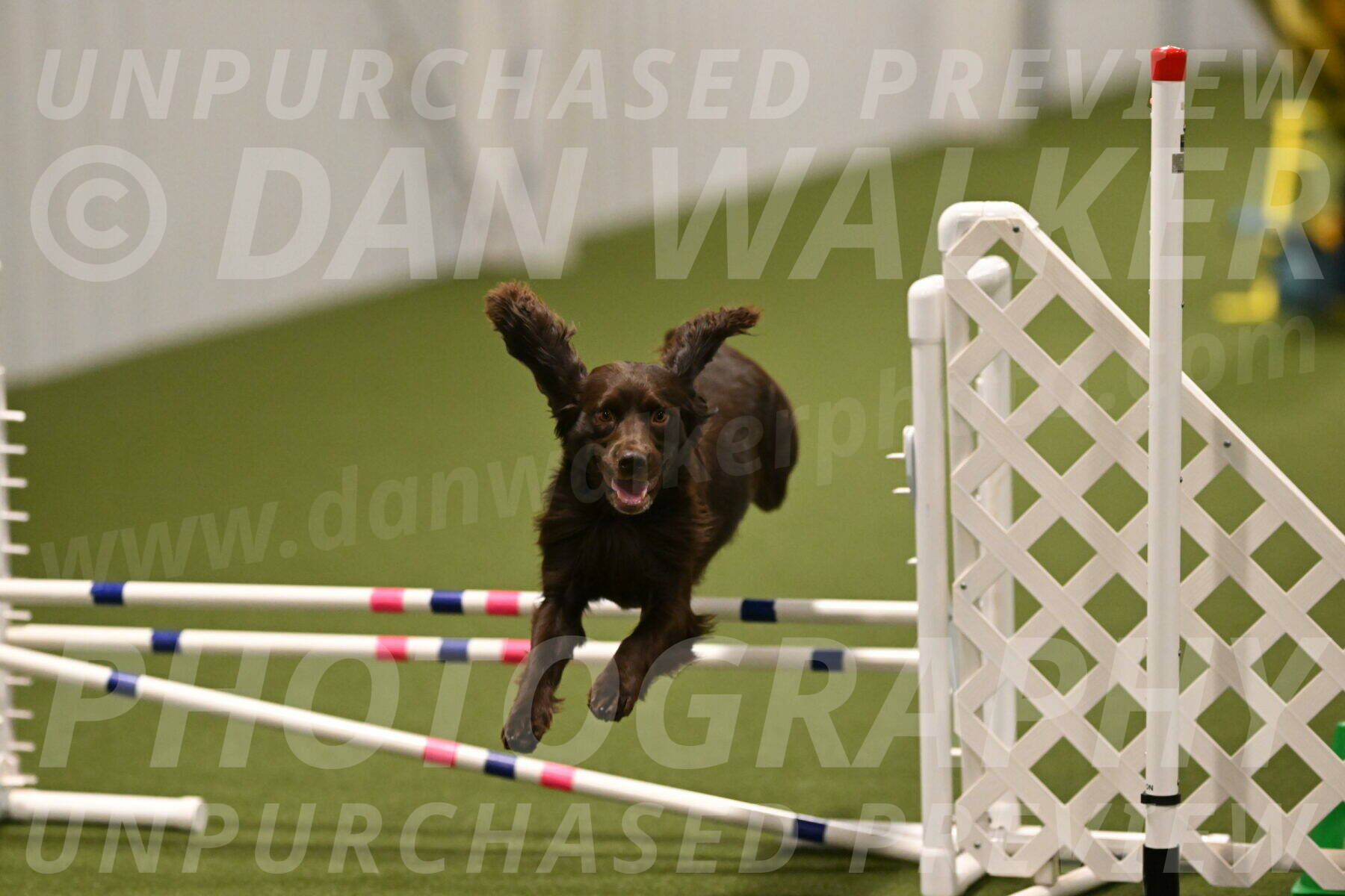 Gus-Jessica-Kotuba-09913