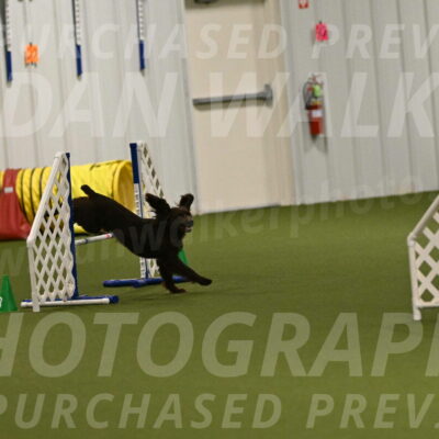 Gus-Jessica-Kotuba-09914