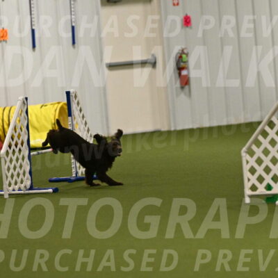 Gus-Jessica-Kotuba-09915