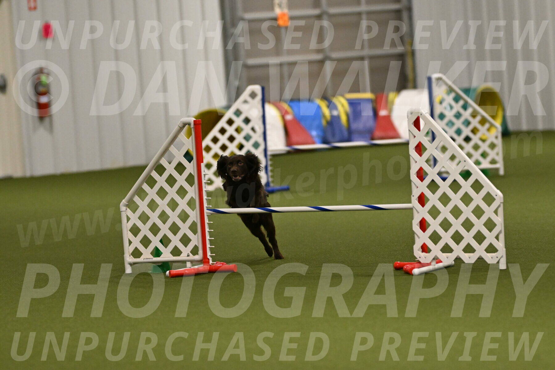 Gus-Jessica-Kotuba-09916