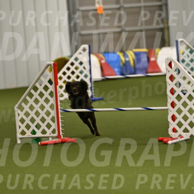 Gus-Jessica-Kotuba-09916