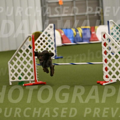 Gus-Jessica-Kotuba-09917