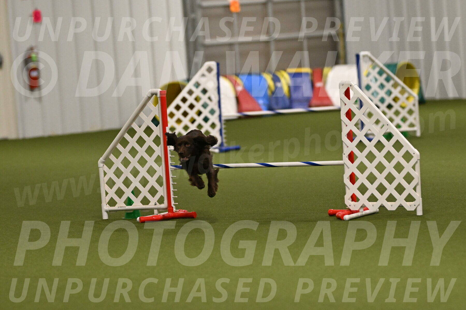 Gus-Jessica-Kotuba-09917