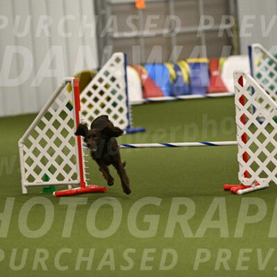 Gus-Jessica-Kotuba-09918