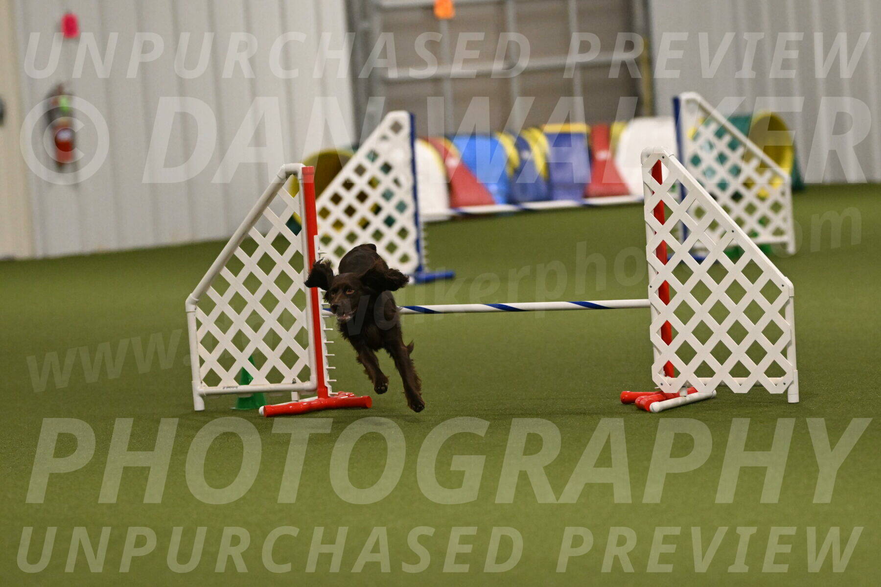 Gus-Jessica-Kotuba-09918