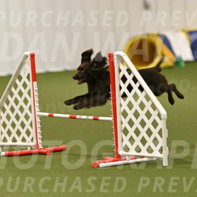 Gus-Jessica-Kotuba-09919