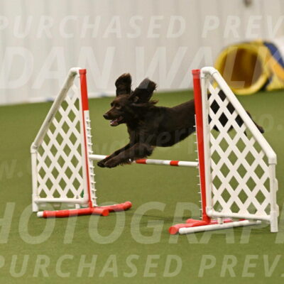 Gus-Jessica-Kotuba-09920