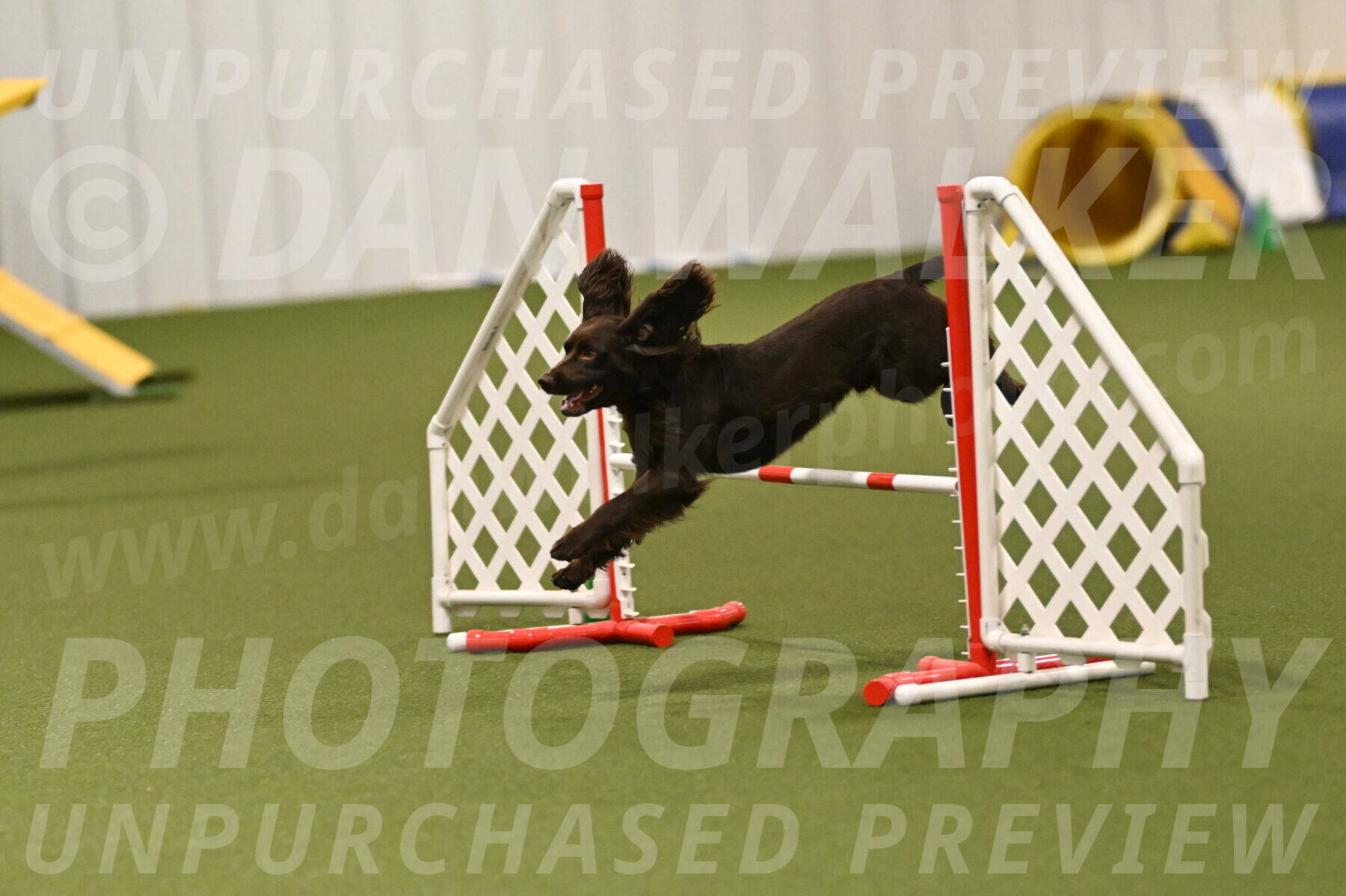 Gus-Jessica-Kotuba-09921