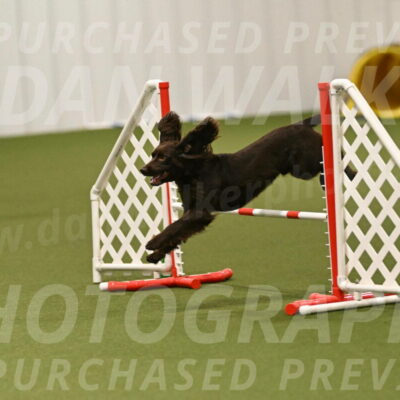 Gus-Jessica-Kotuba-09921