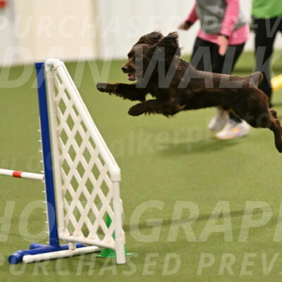 Gus-Jessica-Kotuba-09922