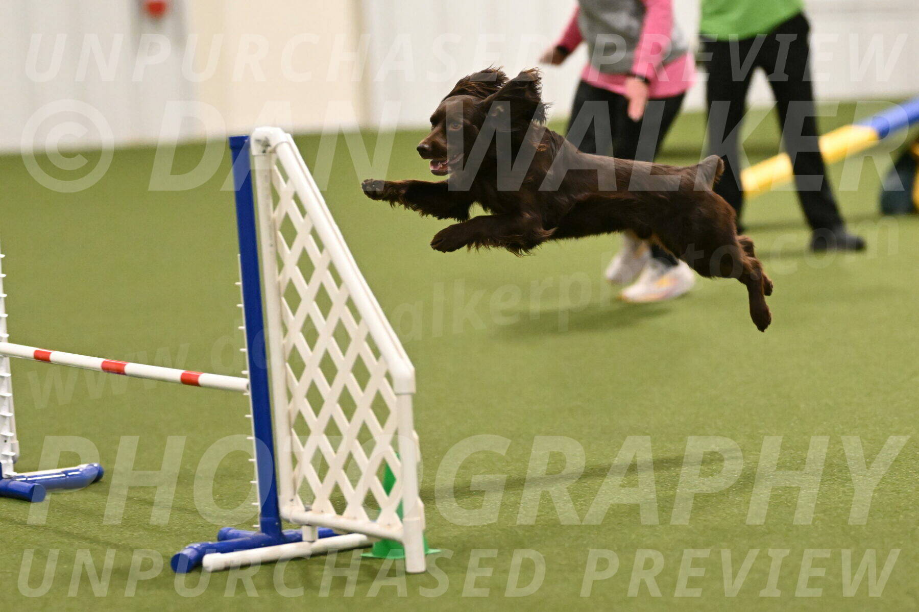 Gus-Jessica-Kotuba-09922