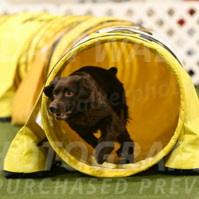 Gus-Jessica-Kotuba-09923