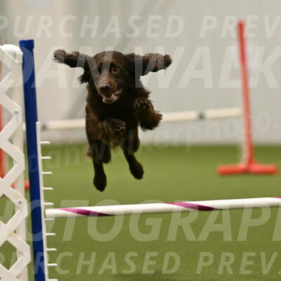 Gus-Jessica-Kotuba-09924