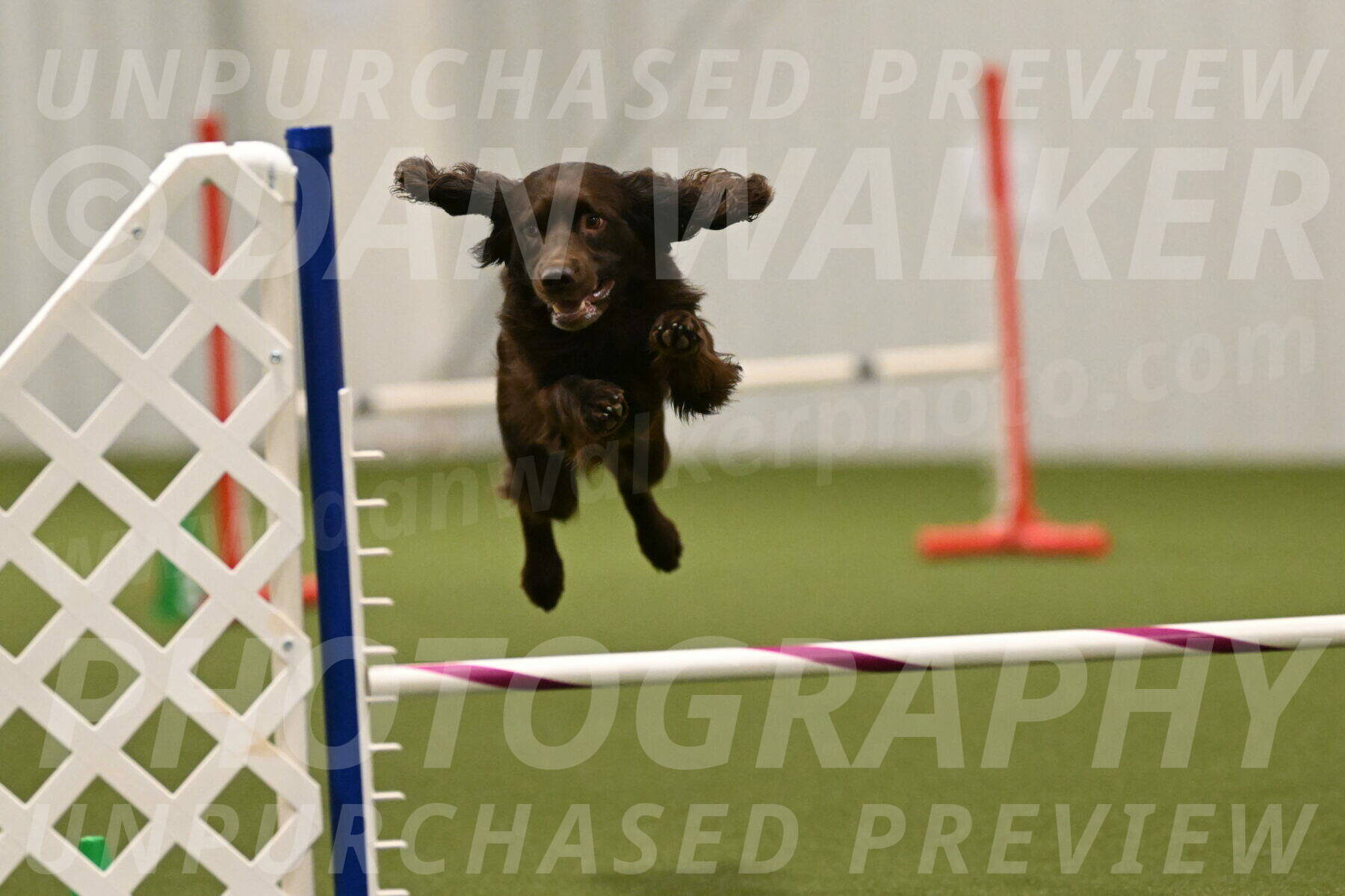 Gus-Jessica-Kotuba-09924