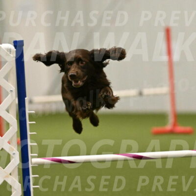 Gus-Jessica-Kotuba-09925