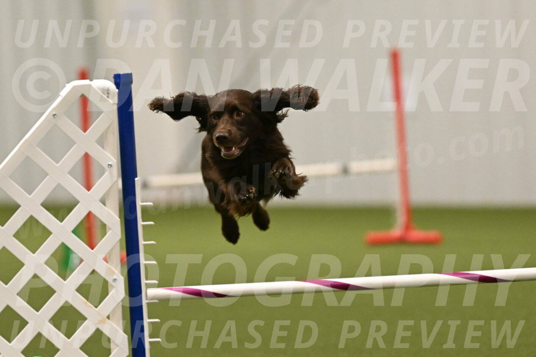 Gus-Jessica-Kotuba-09925