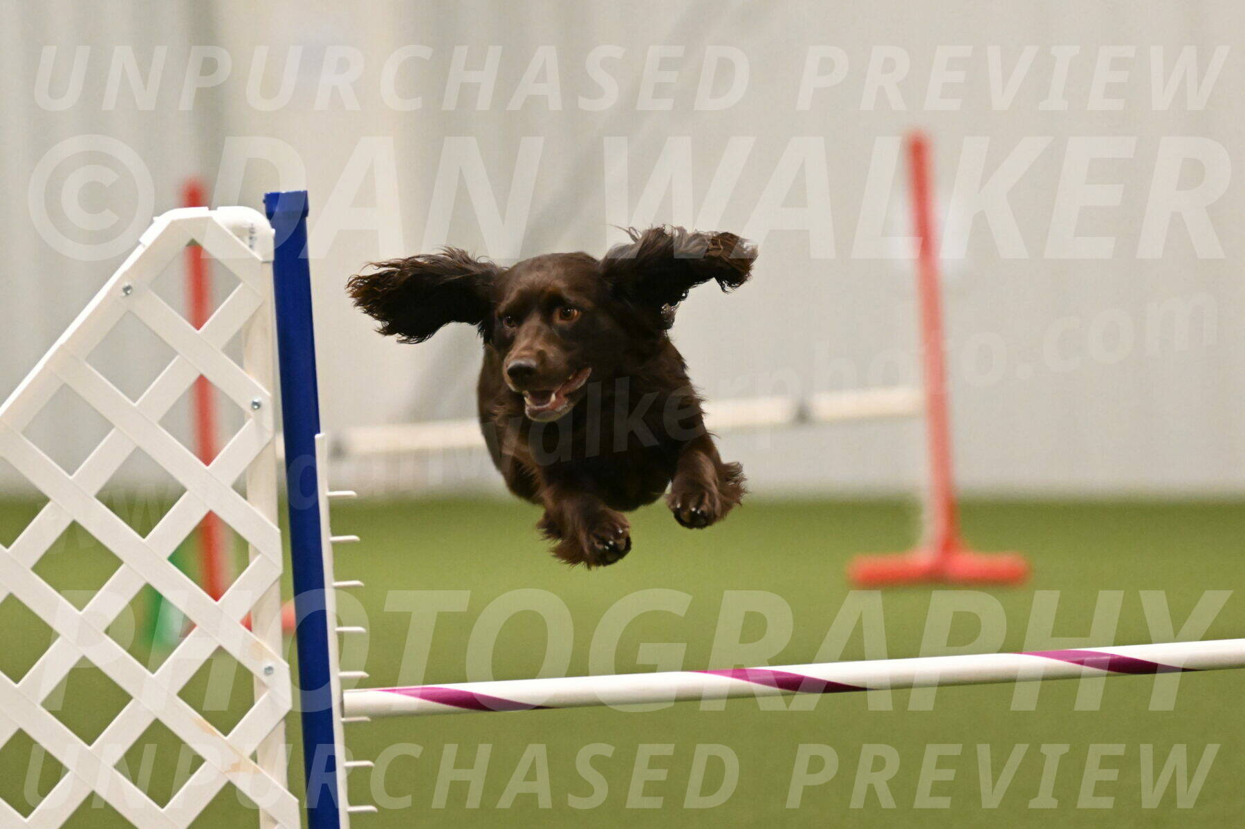 Gus-Jessica-Kotuba-09926