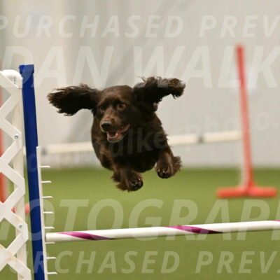 Gus-Jessica-Kotuba-09926