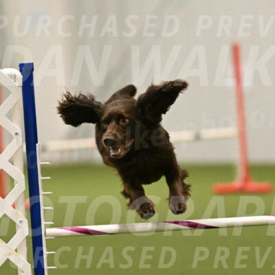 Gus-Jessica-Kotuba-09927