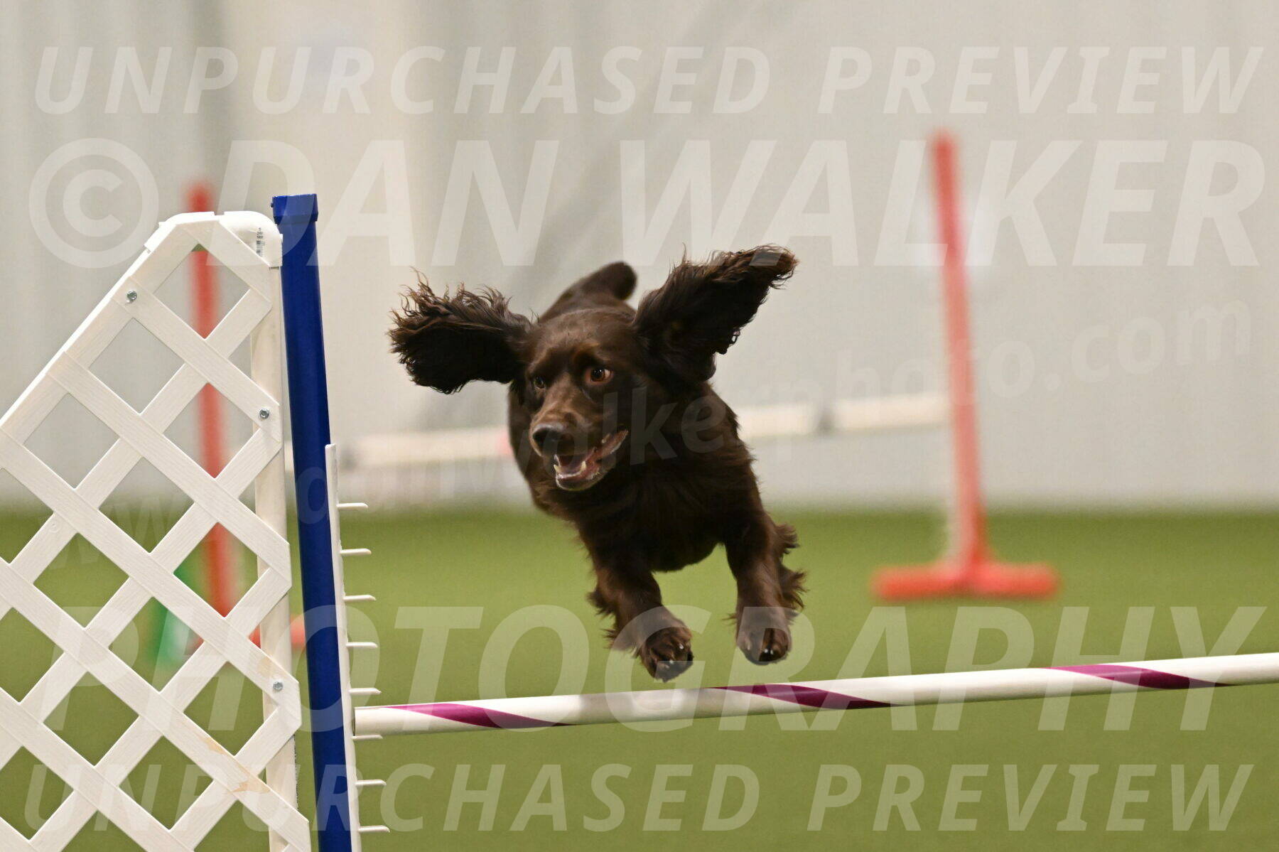 Gus-Jessica-Kotuba-09927