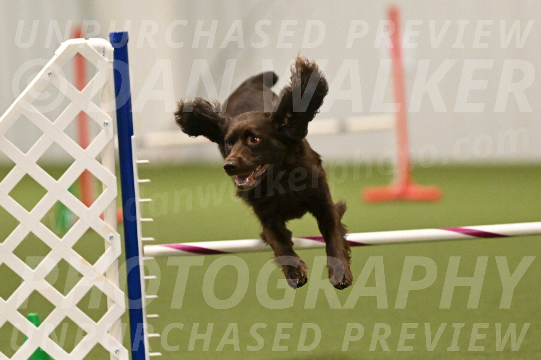 Gus-Jessica-Kotuba-09928