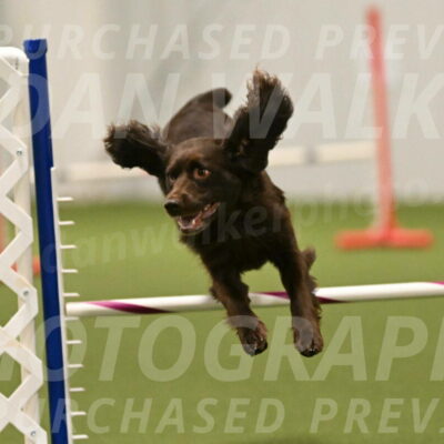 Gus-Jessica-Kotuba-09928