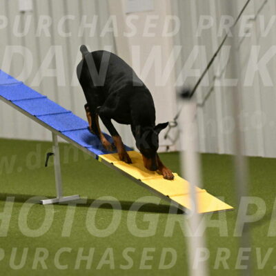 Heart-Janet-Lasater-07549