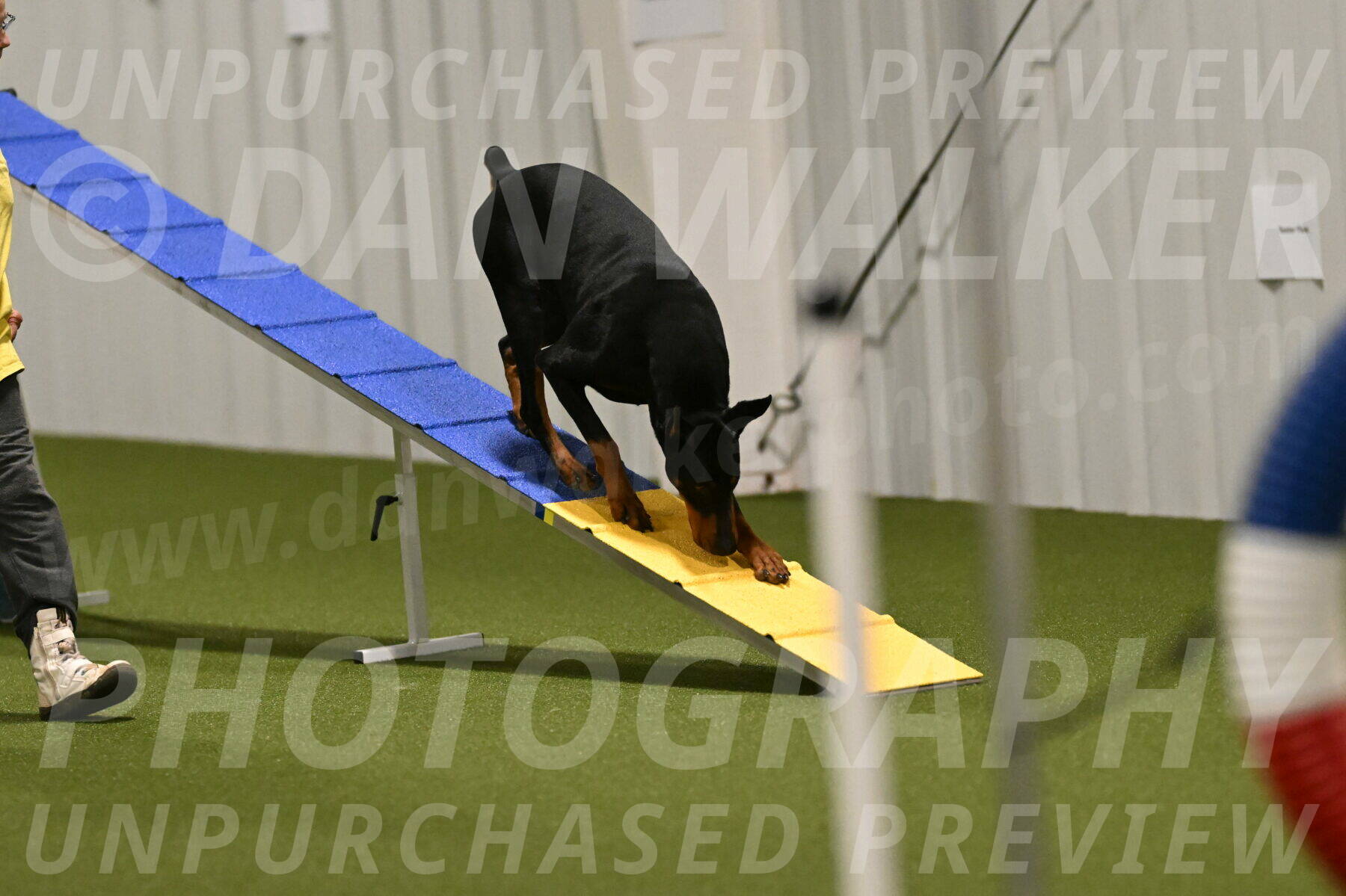 Heart-Janet-Lasater-07549