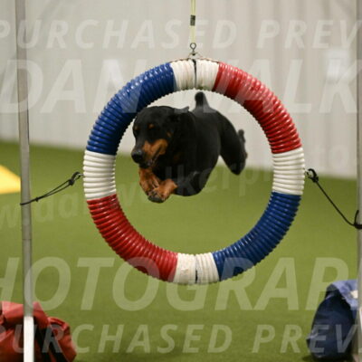 Heart-Janet-Lasater-07550