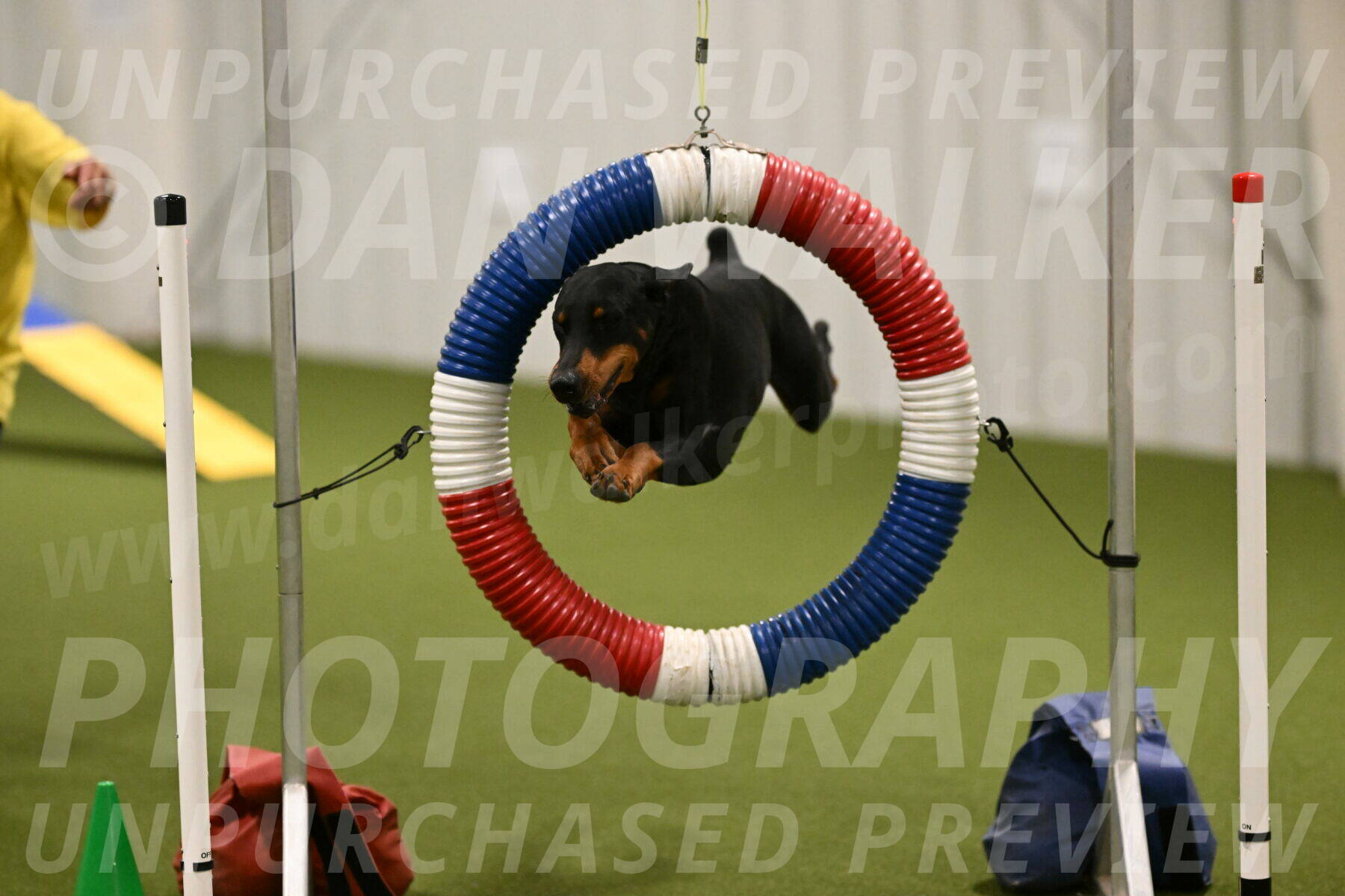 Heart-Janet-Lasater-07550