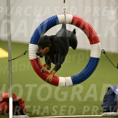 Heart-Janet-Lasater-07551