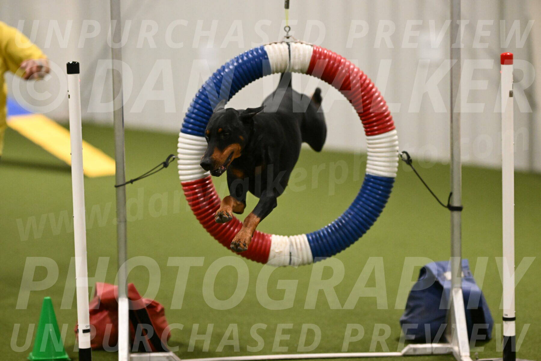 Heart-Janet-Lasater-07551