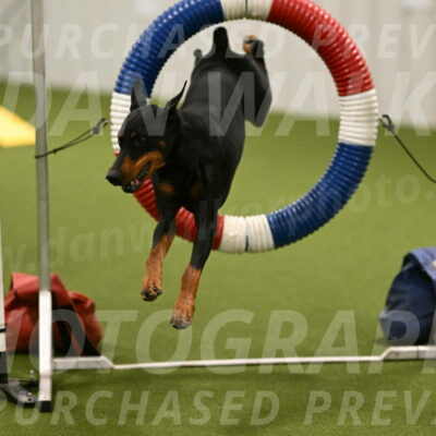 Heart-Janet-Lasater-07552