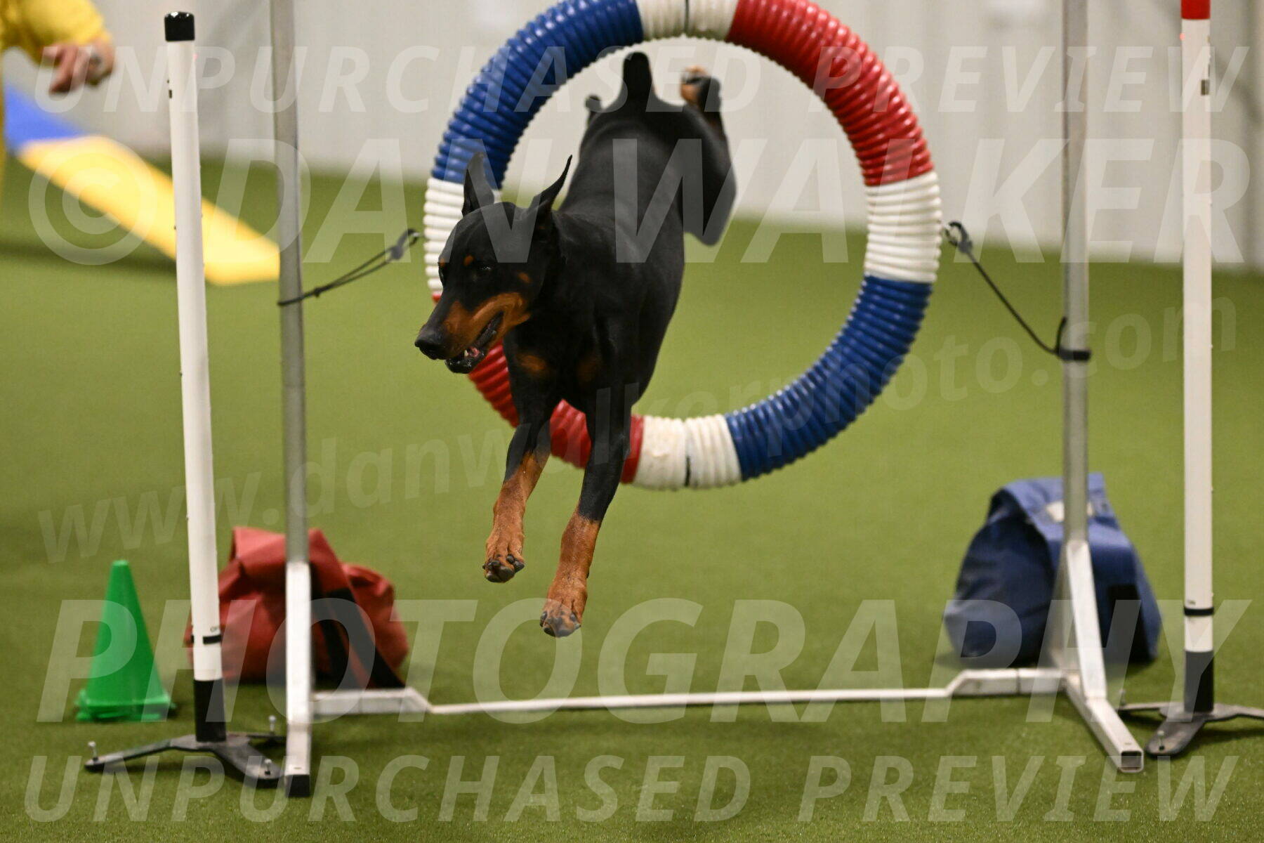 Heart-Janet-Lasater-07552