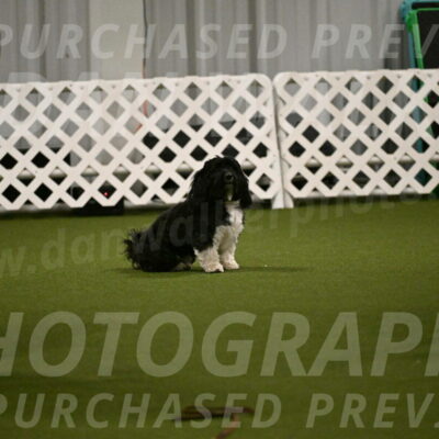 Henry-Ruth-Drew-11134