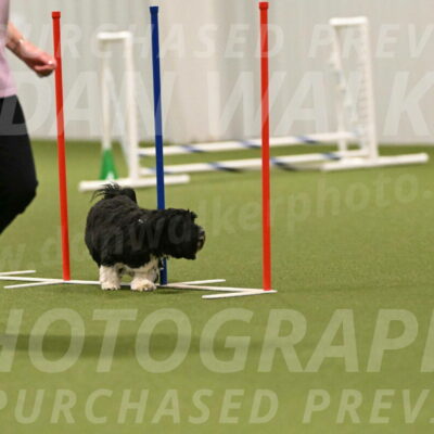 Henry-Ruth-Drew-11160