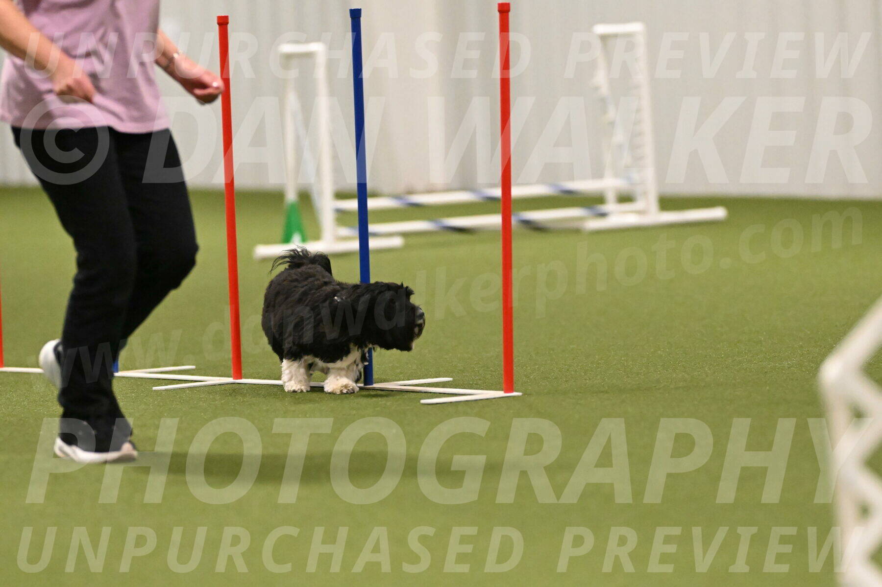 Henry-Ruth-Drew-11160