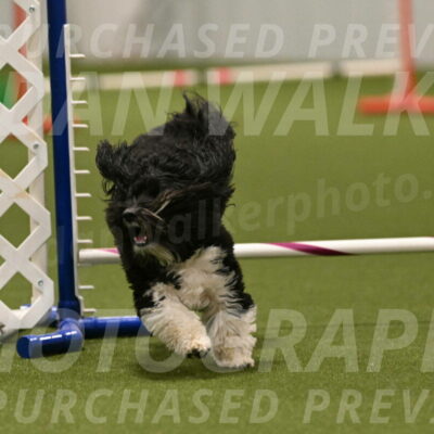 Henry-Ruth-Drew-11168