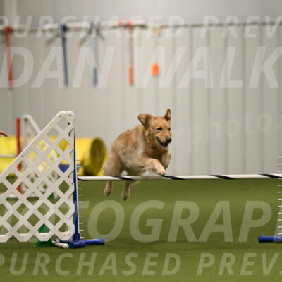 Hope-Peggy-Abrams-03132