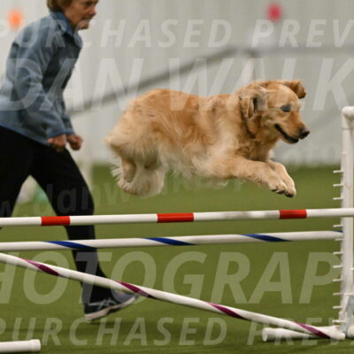 Hope-Peggy-Abrams-03137
