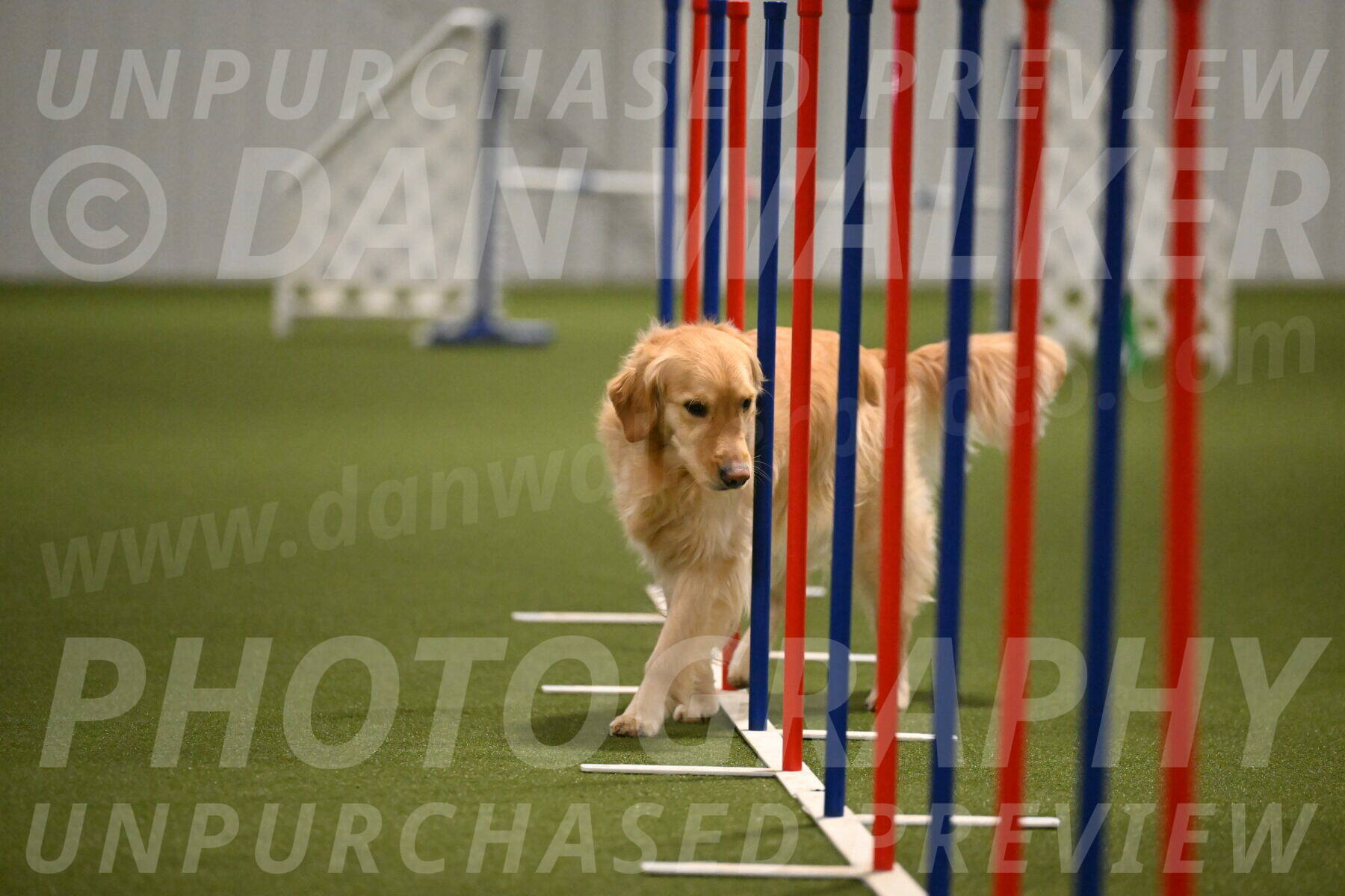 Hope-Peggy-Abrams-03153