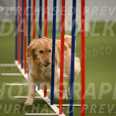 Hope-Peggy-Abrams-03159