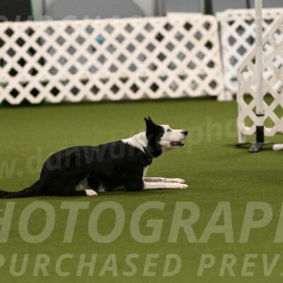 Ice-Jennifer-Walsh-07310