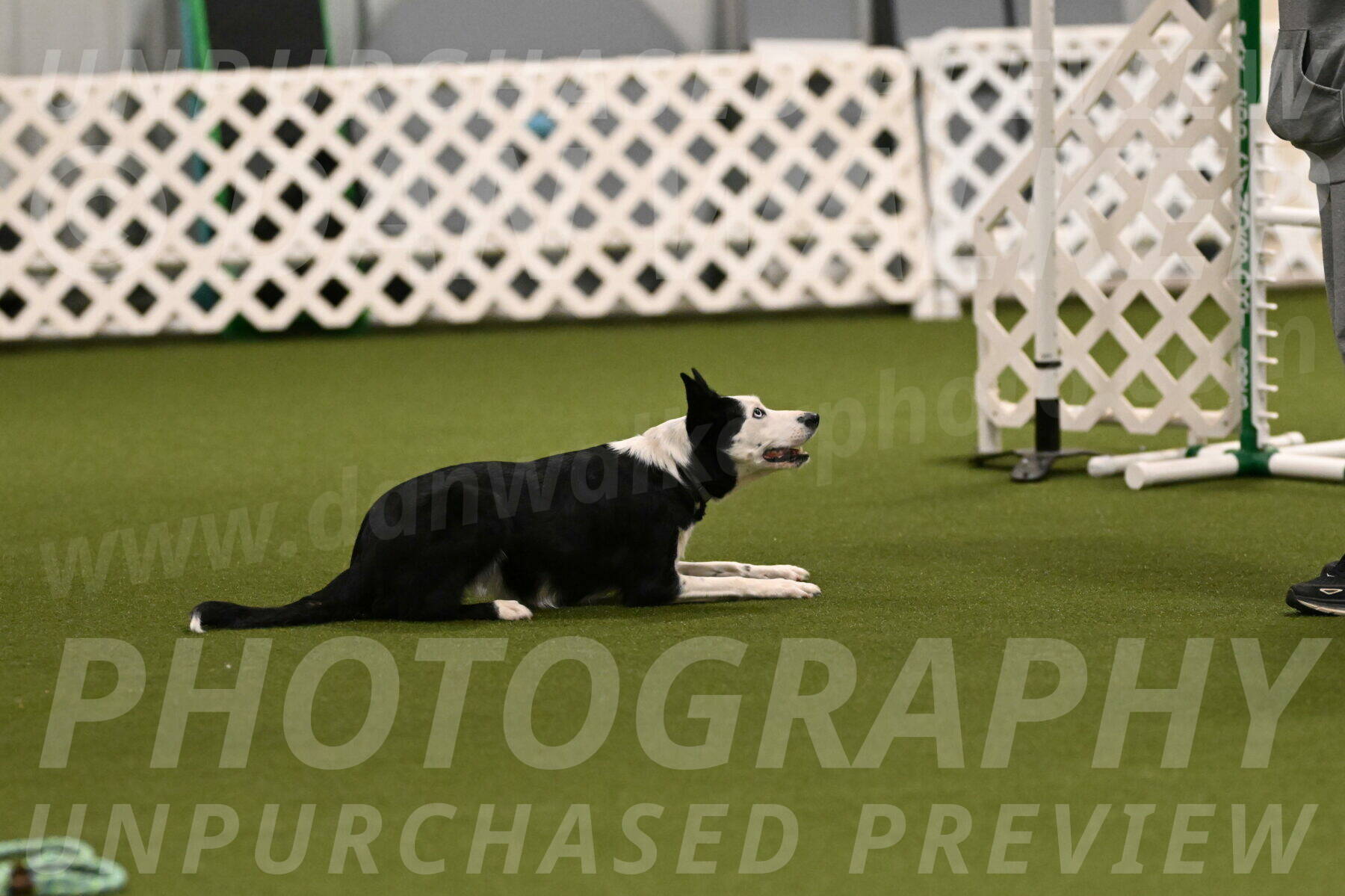 Ice-Jennifer-Walsh-07310