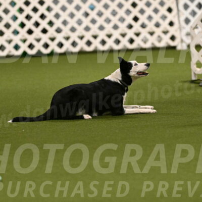 Ice-Jennifer-Walsh-07311