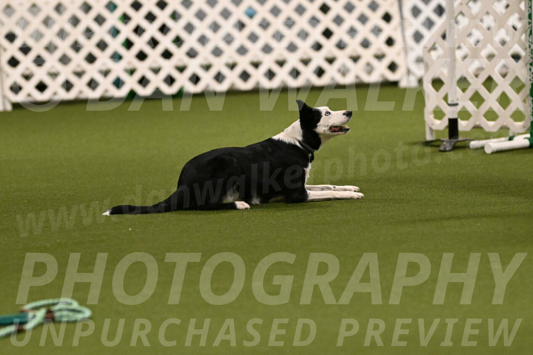 Ice-Jennifer-Walsh-07311